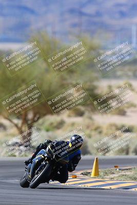 media/Apr-14-2024-SoCal Trackdays (Sun) [[70f97d3d4f]]/1-Turn 5 Tree of Life (920am)/